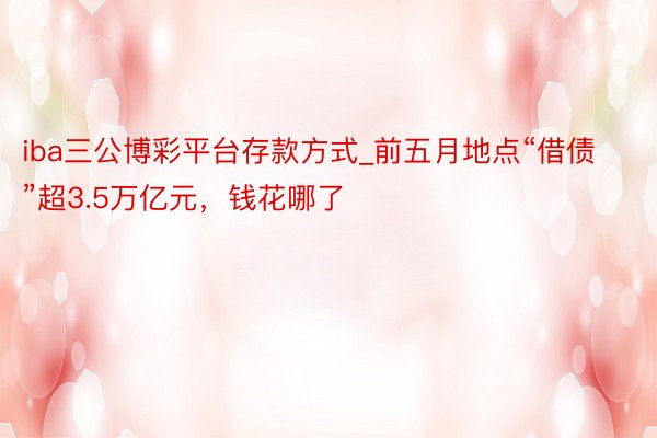 iba三公博彩平台存款方式_前五月地点“借债”超3.5万亿元，钱花哪了