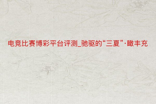 电竞比赛博彩平台评测_驰驱的“三夏”·瞰丰充